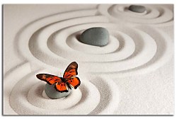 Obraz na stenu ZS - bez pomeru strán